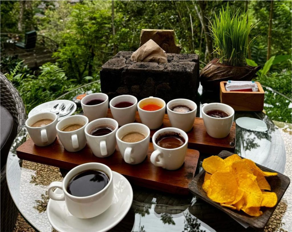 Coffee Plantation