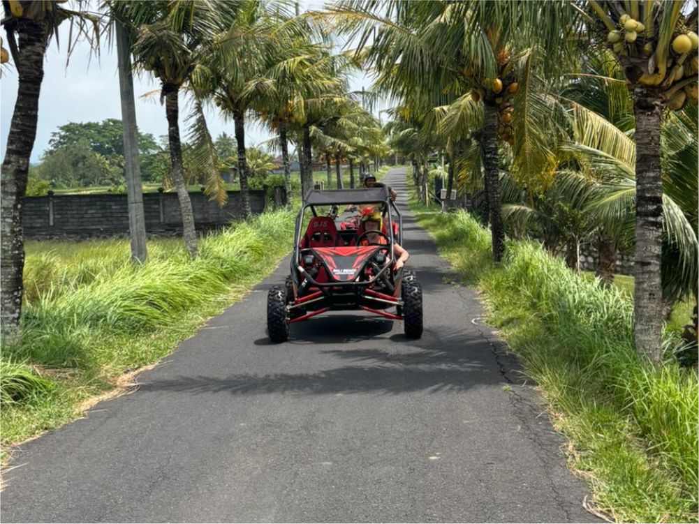 adventures bali beach buggy
