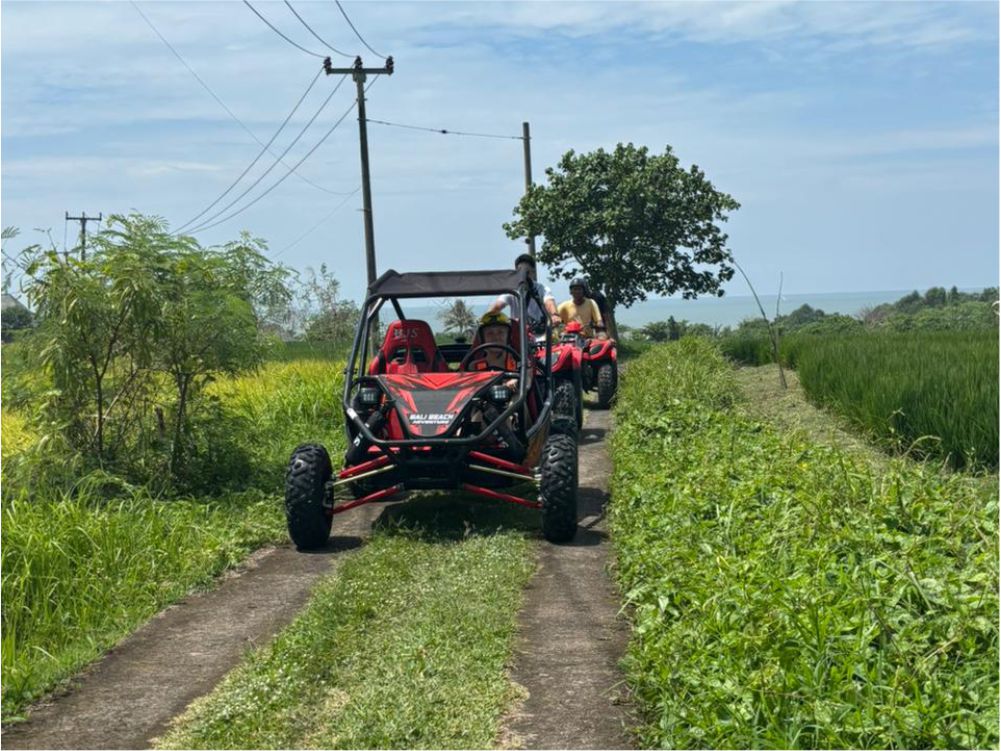 Bali UTV Ubud - Rice Field